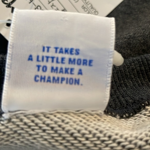 Champion Grey Crew Neck Sweatshirt Pullover NWT Size Large - Picture 6 of 9